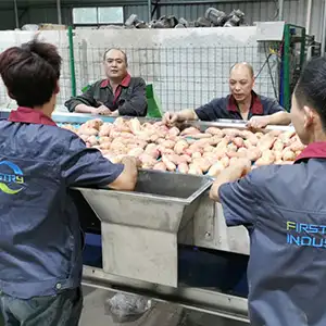 A complete design for sorting fruit manually