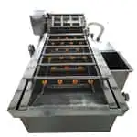 A new designed washing machine for fruit and vegetable