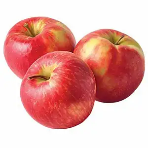 apple sorting machines by fstsort