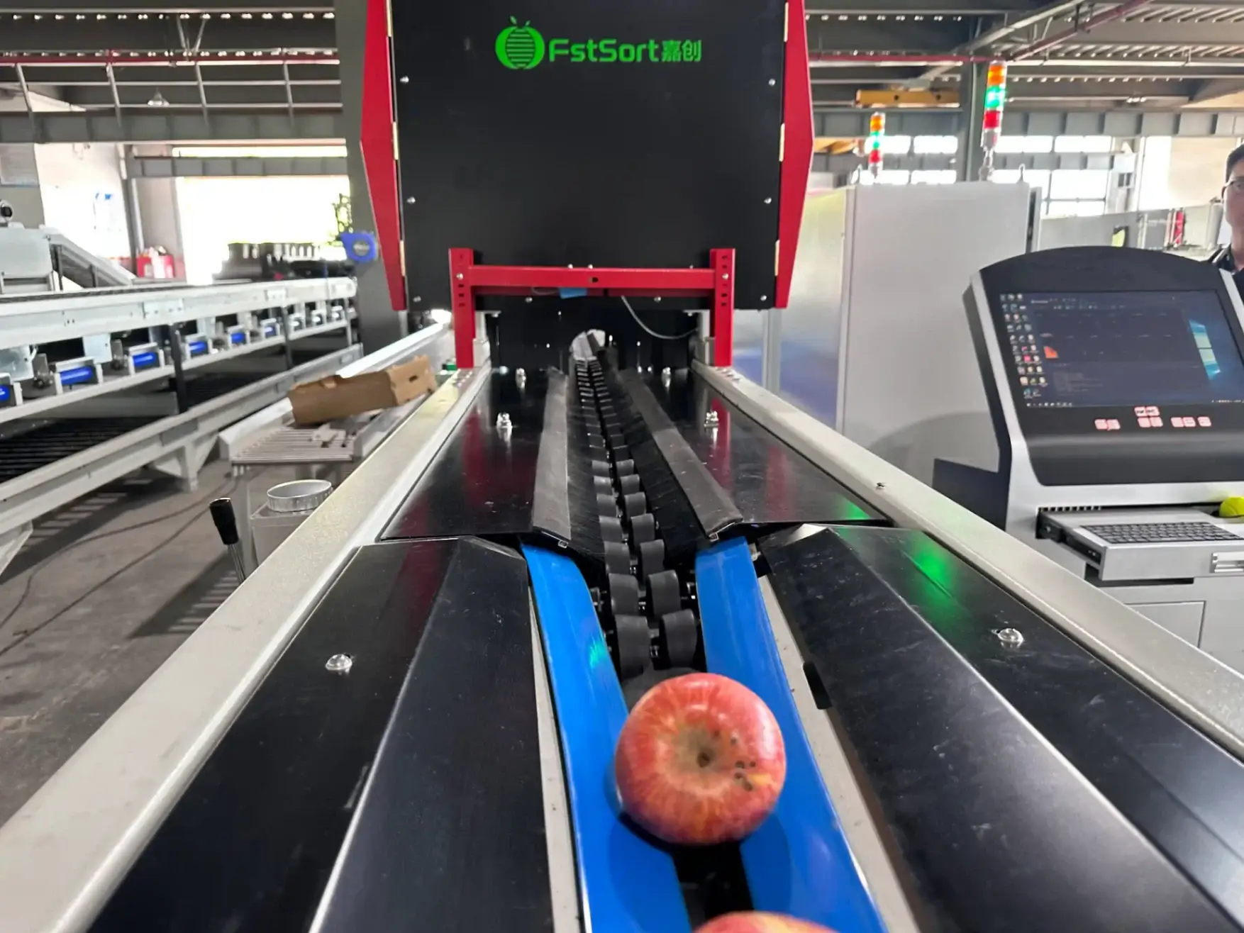Apple sorting machines from fstsort