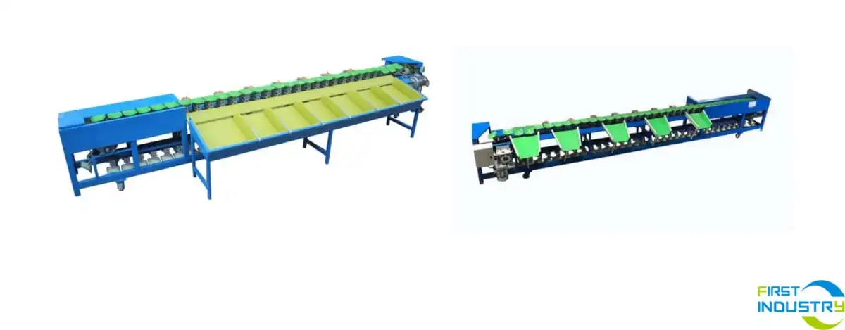 dragon fruit grading dragon fruit grading