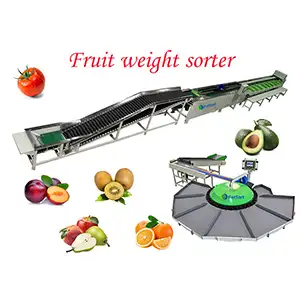 Automatic fruit sorting equipment by weight