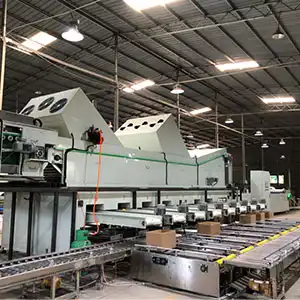 Automatic lemon waxing sorting packing machine