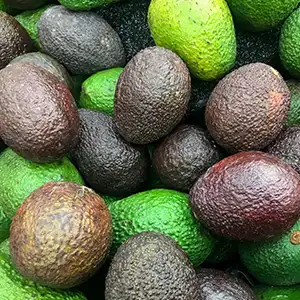Avocado optical sorting grading machine