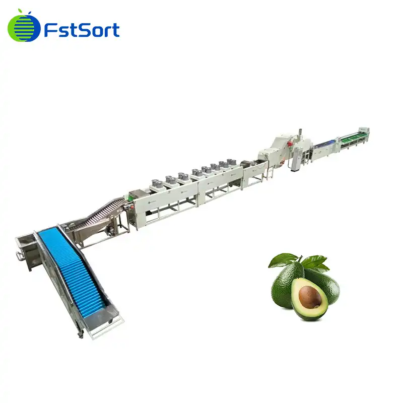 Avocado single line weight sorter
