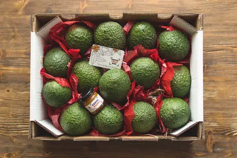 Avocado sorting machine