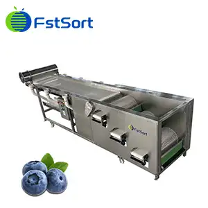 Blueberry drum grader