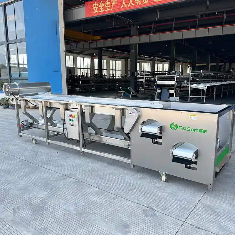 Blueberry Grading Machine Sold to Israel