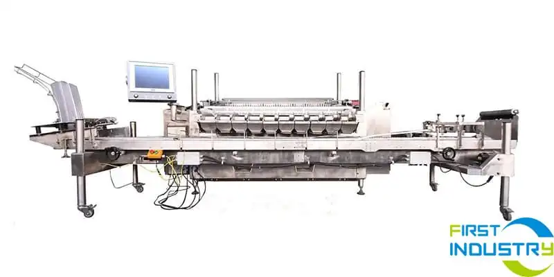 blueberry-packing-sorting-machine blueberry-packing-sorting-machine