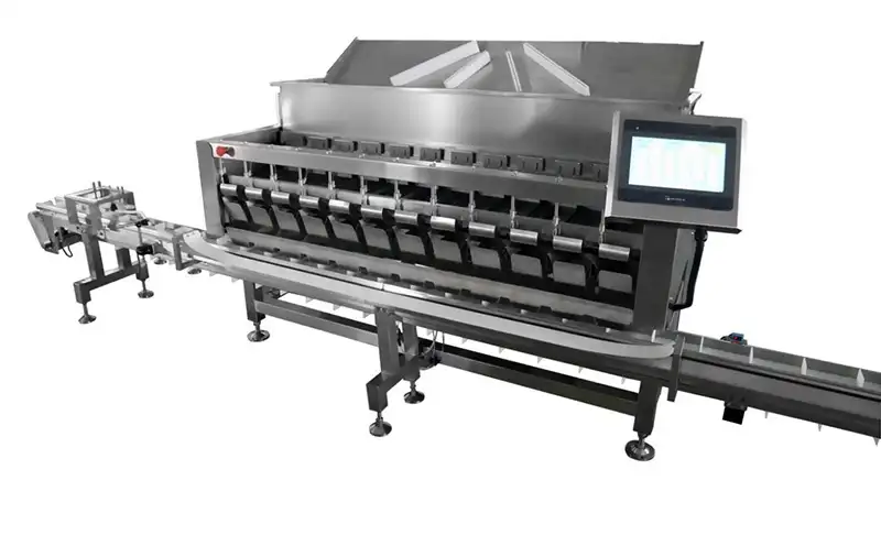 Blueberry Packing Machine