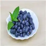 Blueberry season is coming in China