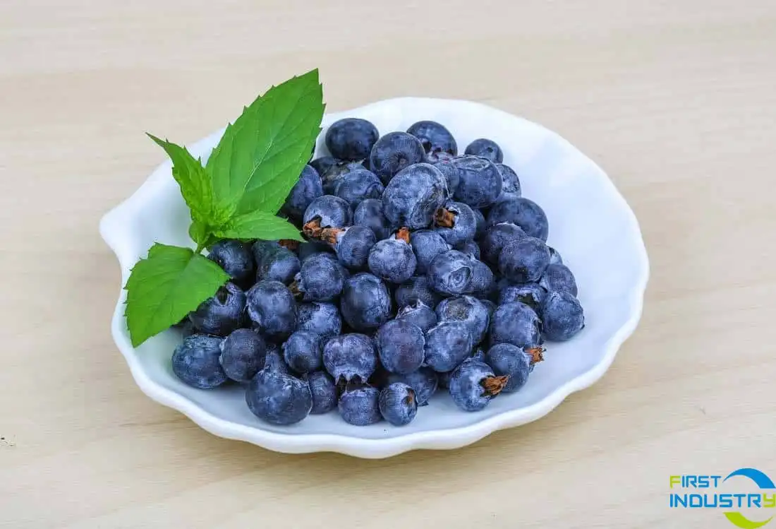 blueberry berry blueberry berry