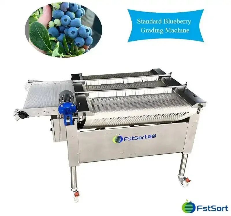 Blueberry sorting machine of blet