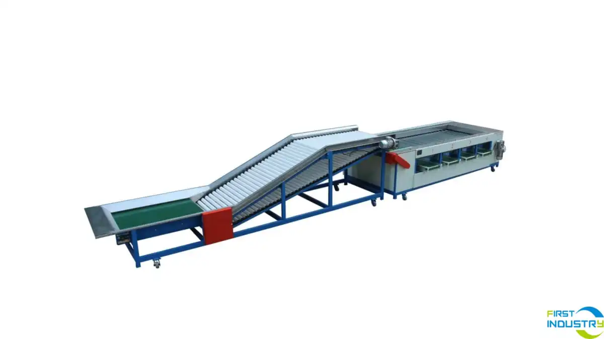 carrot sorting machine carrot sorting machine