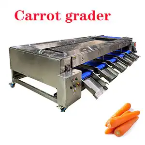 Carrot grader sold to Vietnam was loaded