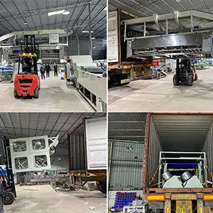 Cherry pepper sorting line sold to South Africa