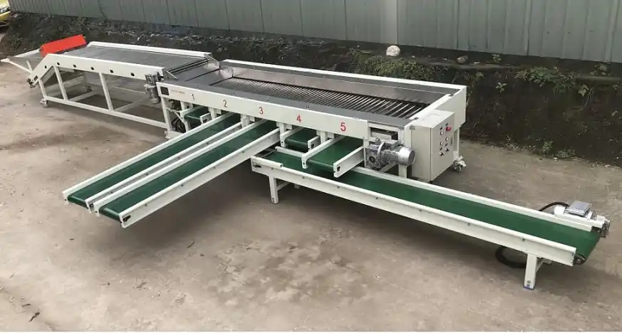 Cherry Tomato and lychee Grading Machine