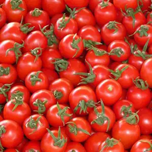 Cherry tomatoes sorting and packaging machine