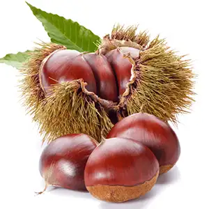 Chestnuts grading machine