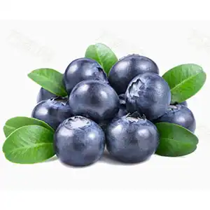 Chilean blueberry season is coming