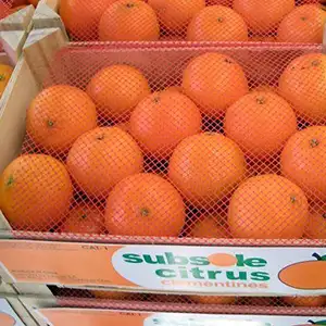 Chilean citrus exports will increase this season