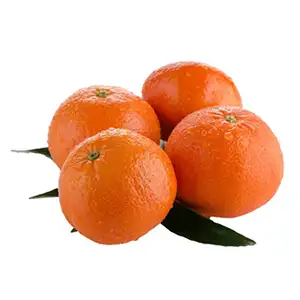 Chinese market brings new opportunities for Zimbabwe citrus