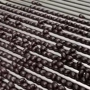 Chocolate Beans sorting grading machine