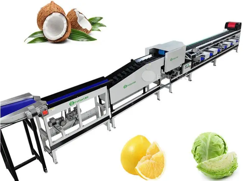 Coconut Grading Machines