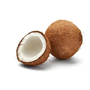 Coconut size grader
