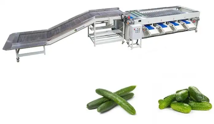 Cucumber grading sorting machine made in China