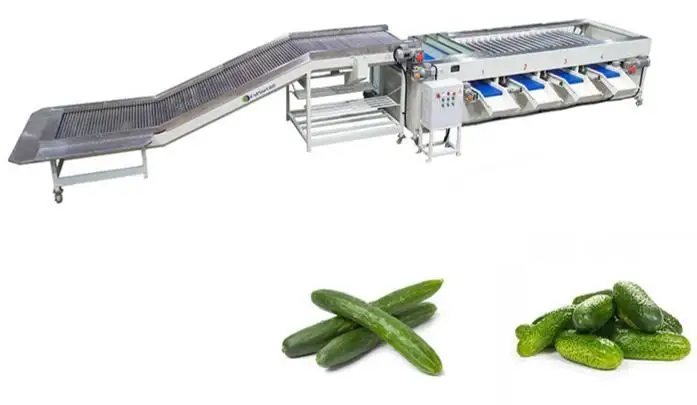 Cucumber grading sorting machine made in China