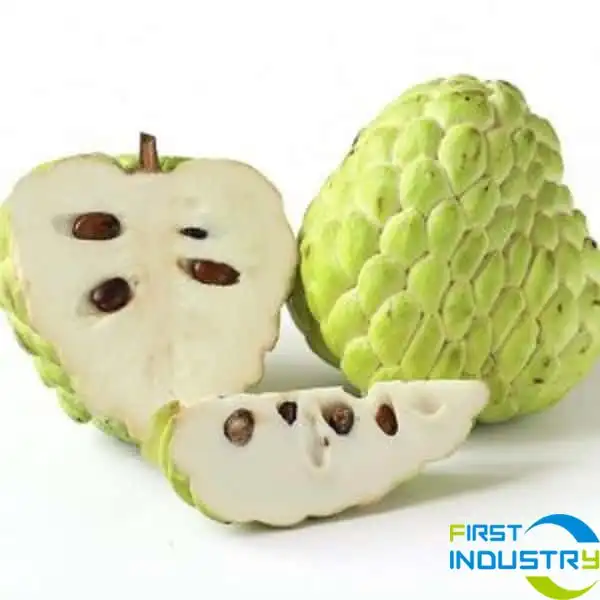 custard apple washing machine custard apple washing machine