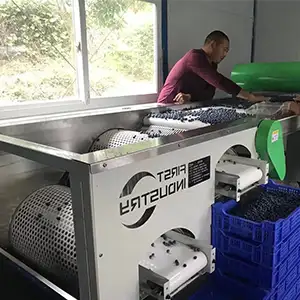 Customer feedback on the blueberry grader
