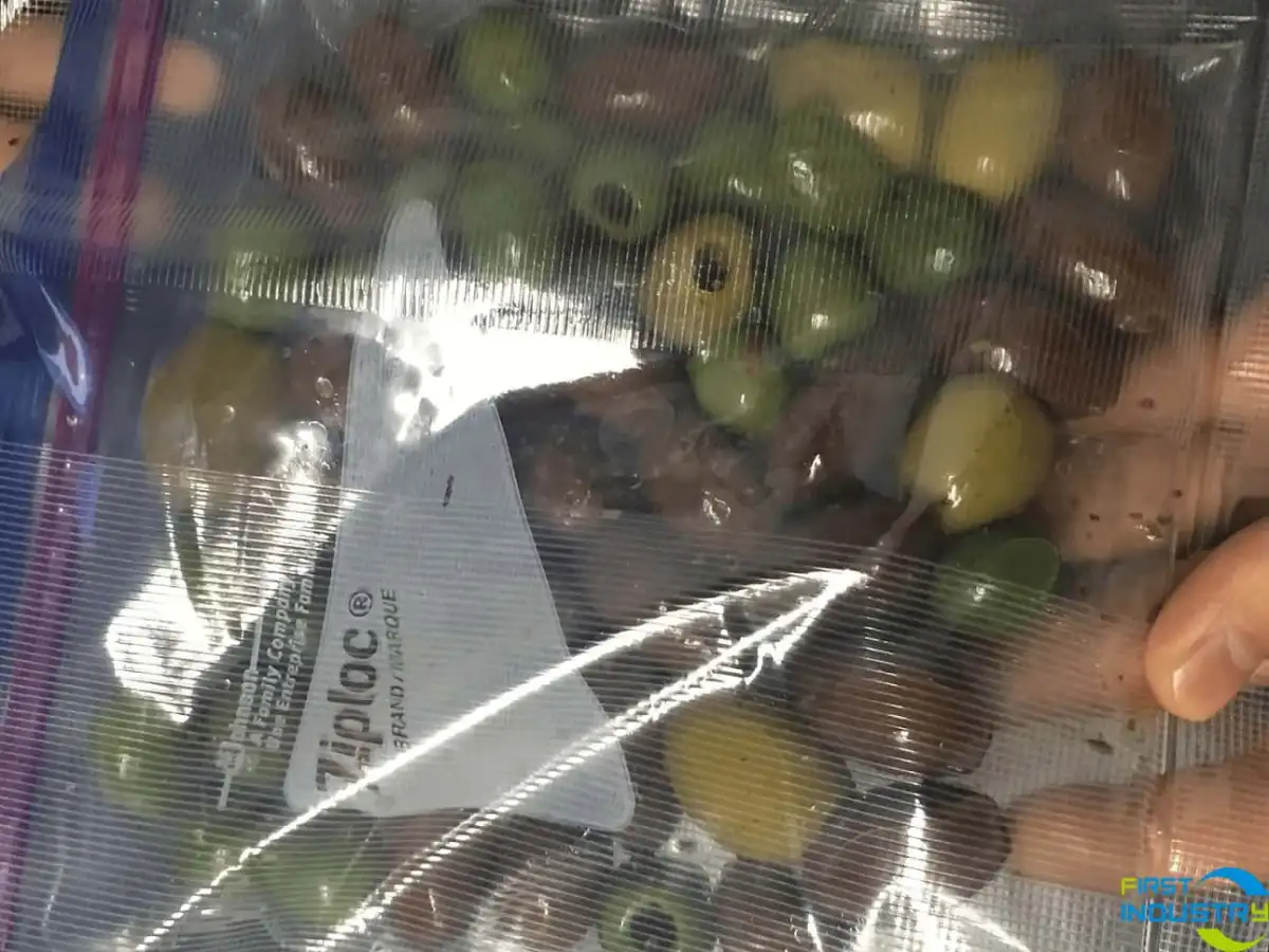 dates pitting machine dates pitting machine