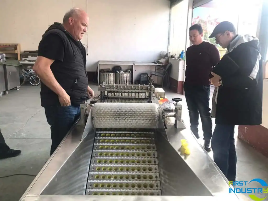dates pitting machine dates pitting machine