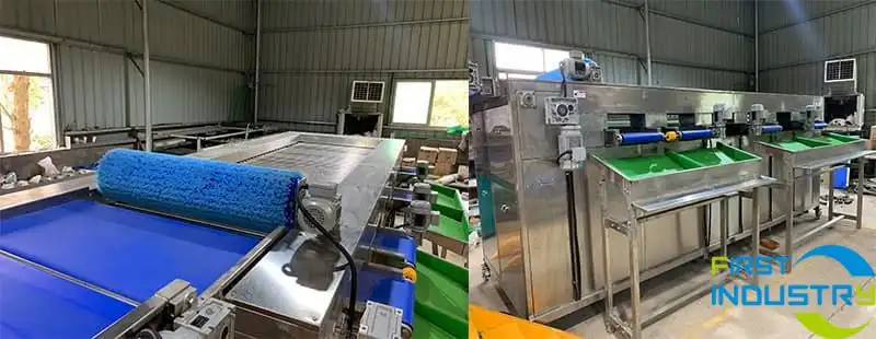 grading-part-of-sweet-potato-sorting-machine grading-part-of-sweet-potato-sorting-machine