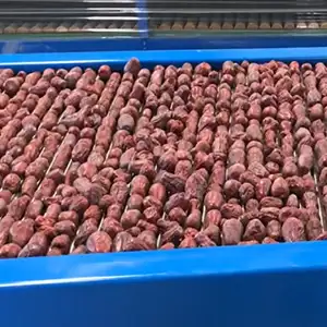 Dates or Jujubes Cleaning Sorting Machine