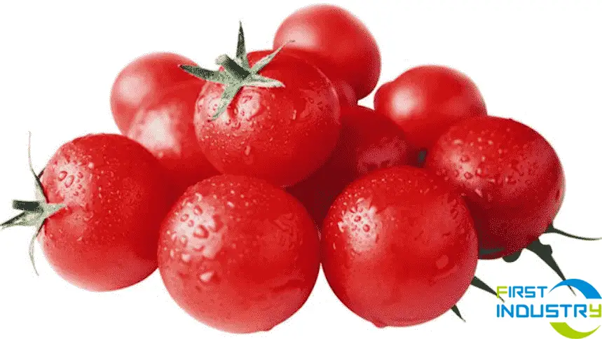 cherry tomato cherry tomato