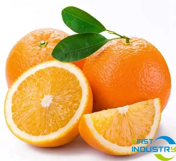 images/1559613717543orange.jpg