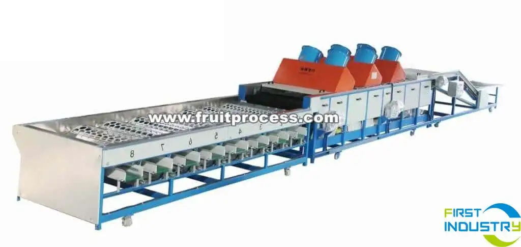 images/1559613790128mandarin sorter.jpg