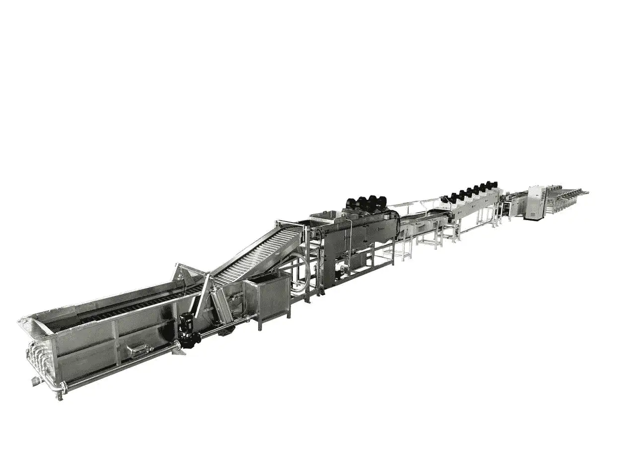 Dragon fruit processing line
