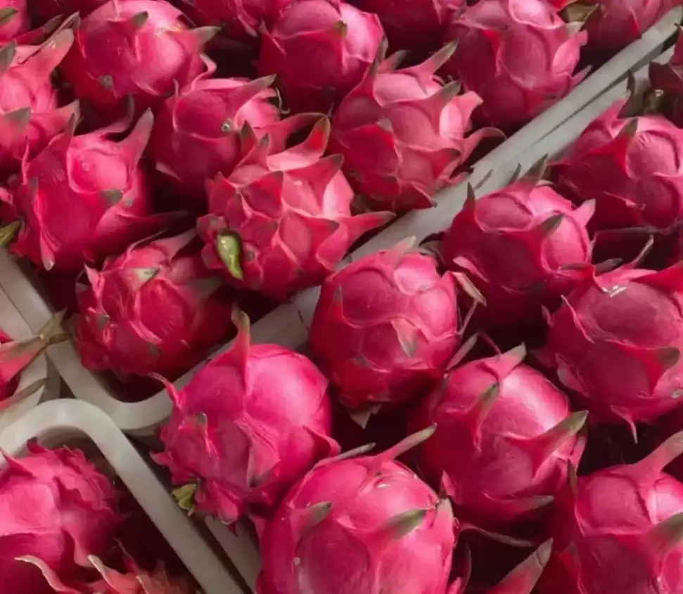 dragon fruit processing line