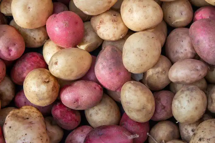 Efficient and Precise Potato Grading Machine