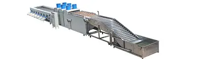 Eggplant cleaning sorting machine - FstSort