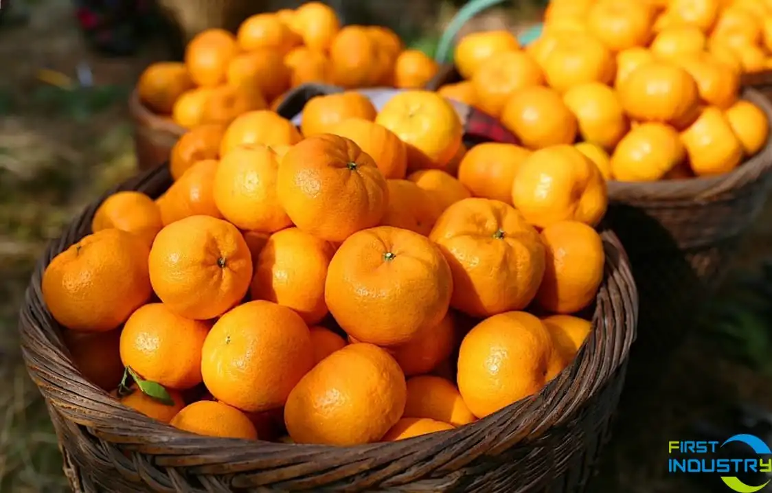 images/1582694010272orange.JPG
