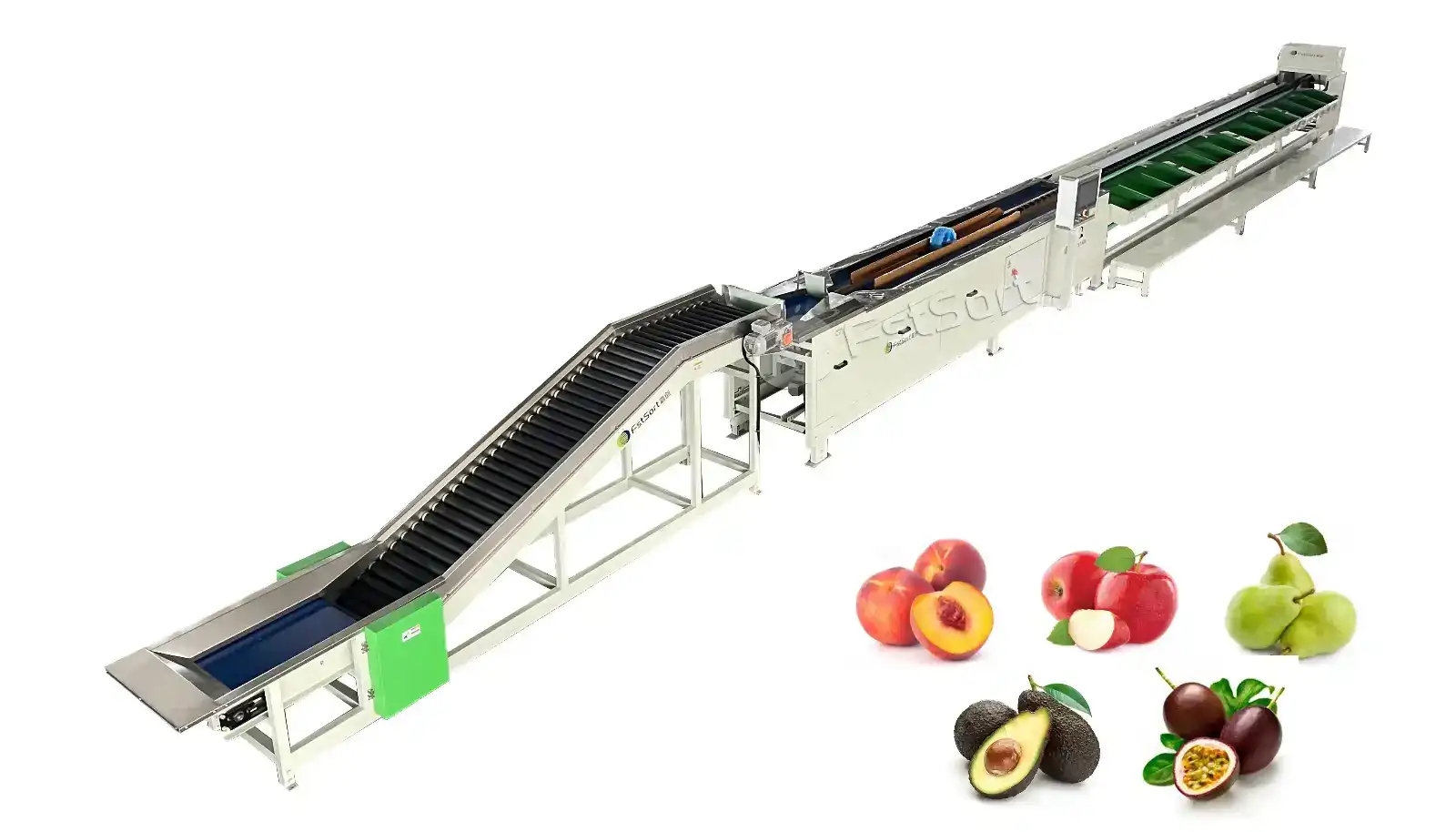 Electronic Fruit Weight Sorting Machine