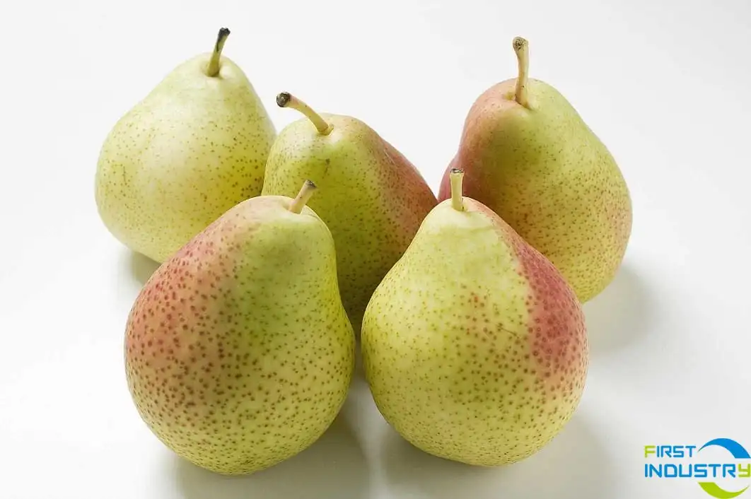 fresh pears fresh pears