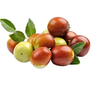 Fresh date sizer