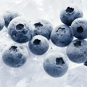 Frozen Blueberry Cleaning Grading Line