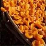 Fruit processing machine with my life